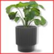 PVC okrasni lonci (16)