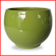 Kolekcija Bali Glazura (21)